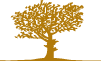 Il territorio
